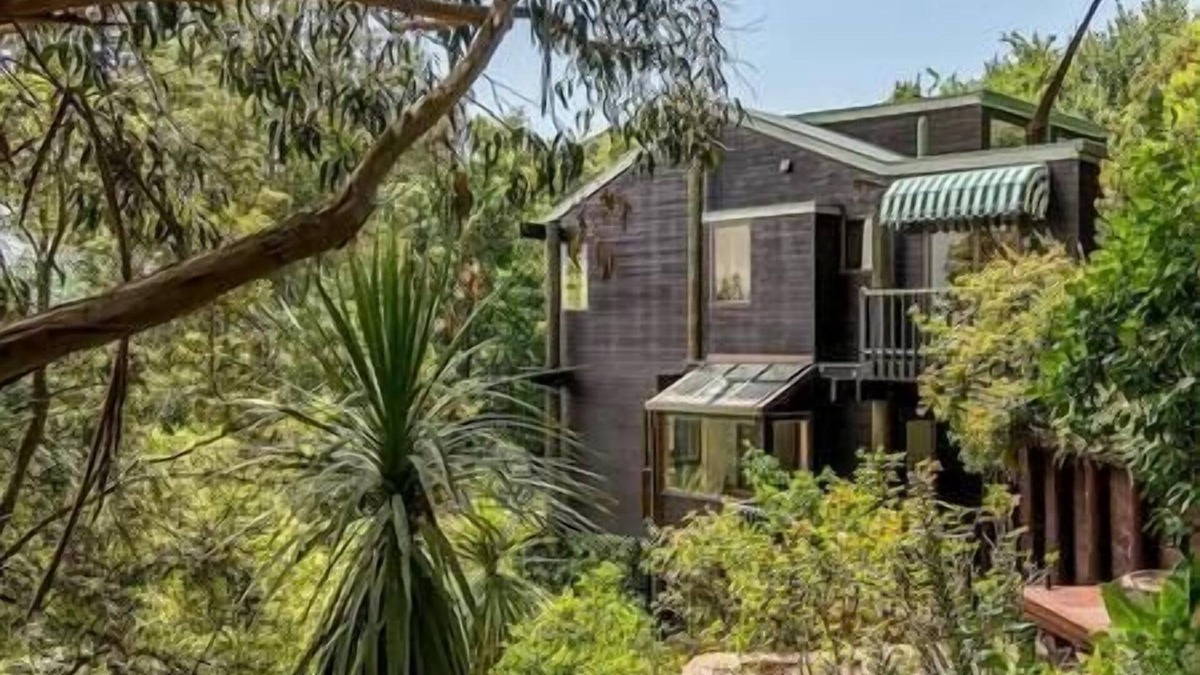 Cashmere House | Stylish Unique Treehouse Nestled Amongst Paradise