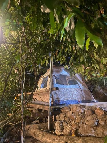 Ninh Hoa Other | Suối Mơ Dốc Tình Glamping & Retreat