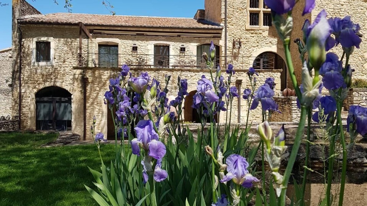Bonnieux House | Sublime property in the middle of its vineyard with swimming pool and tennis court