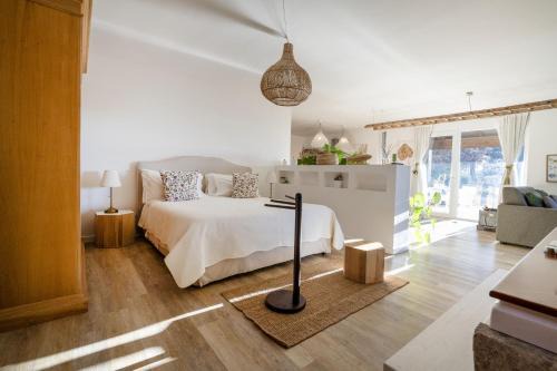 Impalata Villa | Suite in Villa Torto with pool