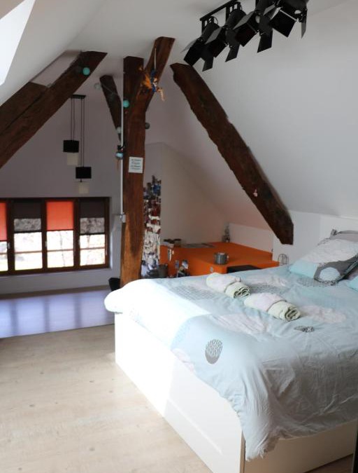 Chainaz-les-Frasses House | Suite Lanfon - Le Clos des Frasses