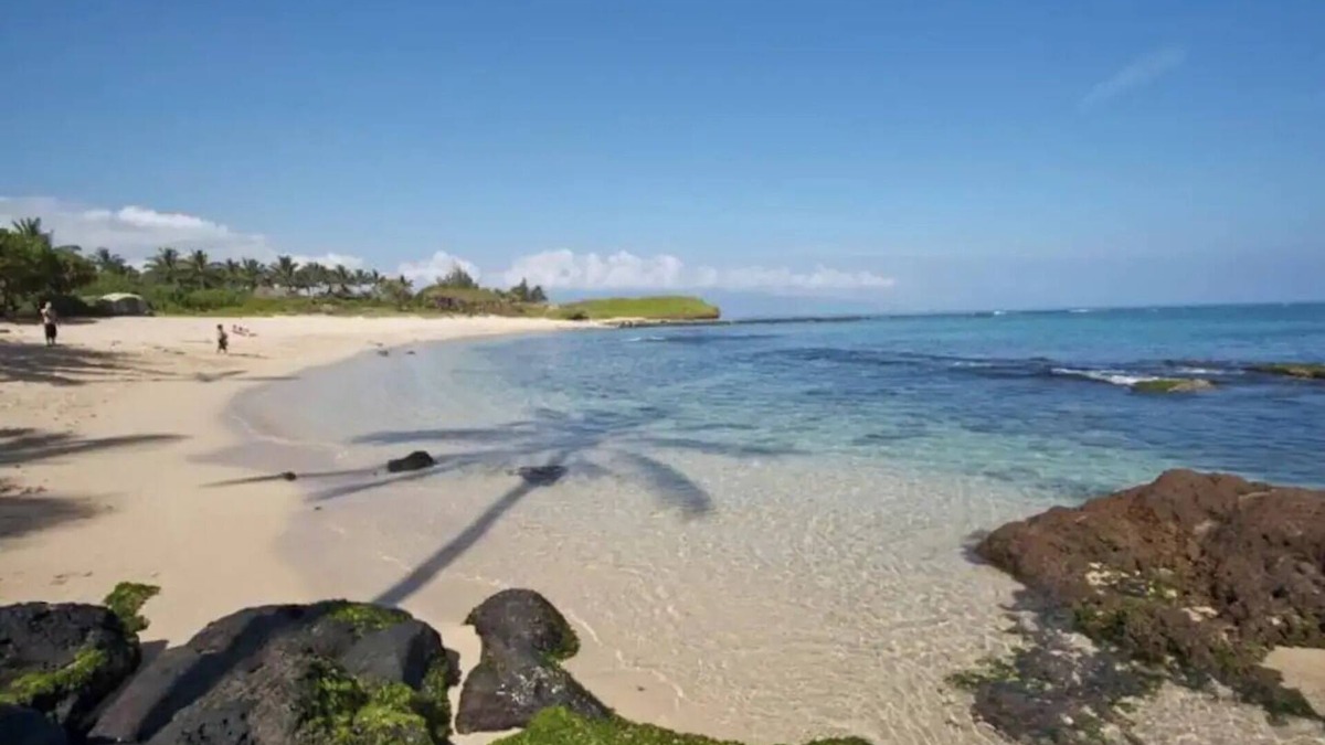 Kuau Apartment | Suite on North Shore property. Walk to beach & town!