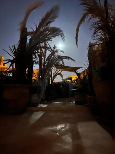 Kairouan House | Suite Printemps Ryan