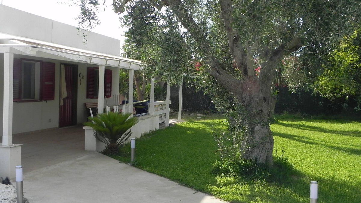 San Lorenzo Villa | summer house the olive tree