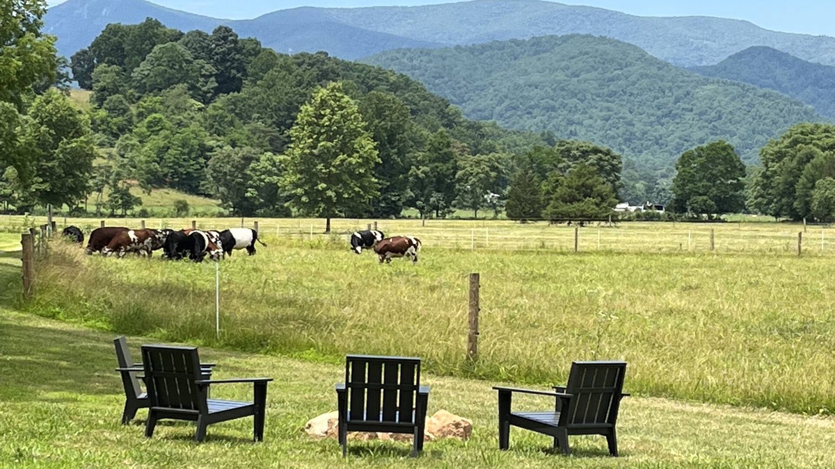 Roseland House | Summer is in full swing. No charge for the view!