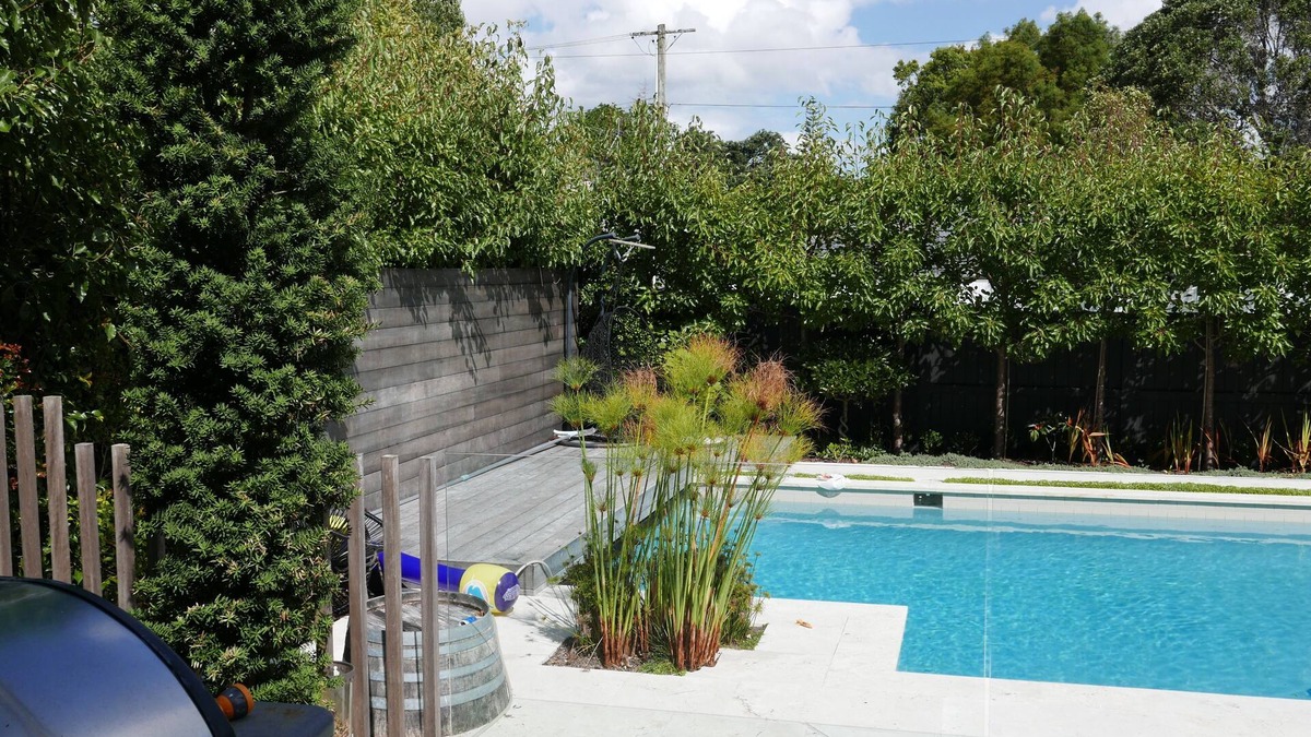 St. Heliers House | Summer paradise - family home sleeps 8 - great pool and stunning section