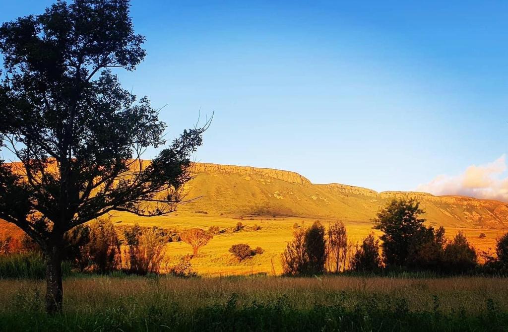 Harrismith Apartment | SUMMER PLACE