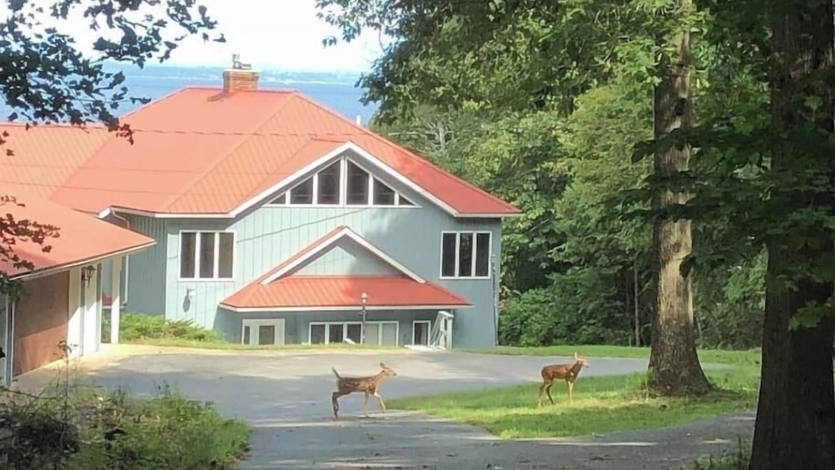 Town of Chesterfield House | Summer time at The Big-Lake Lodge at Lake Champlain