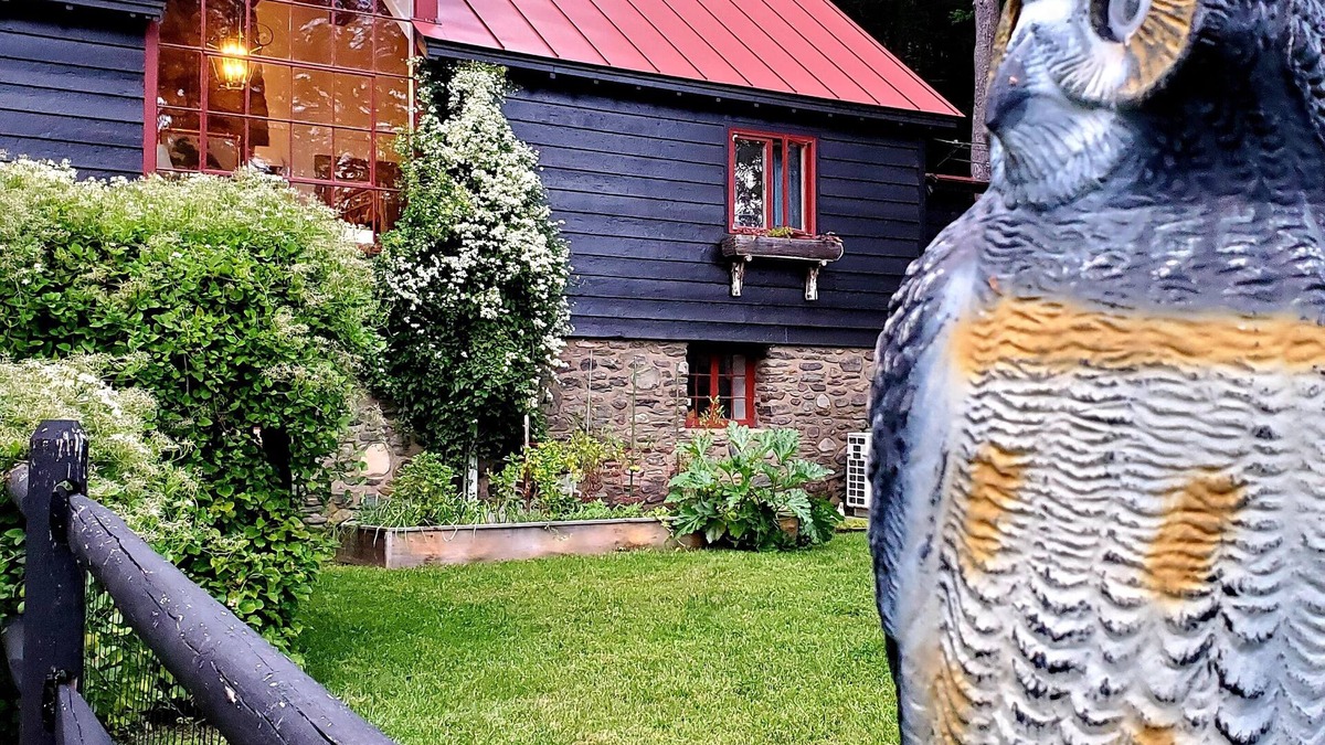 Mount Tremper Cottage | summer time available