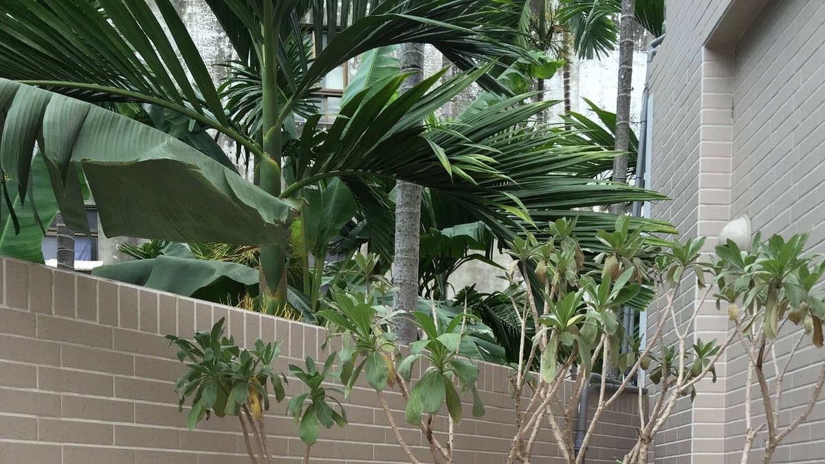Chaozhou House | Summerle No 11 Hostel