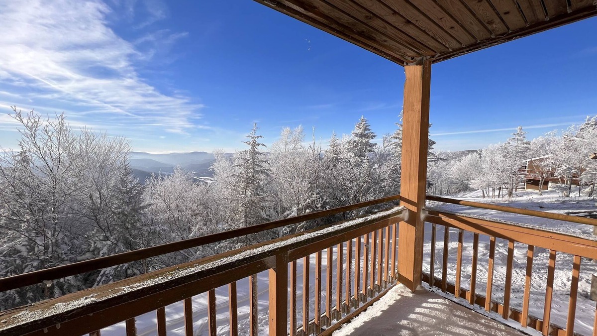 Snowshoe Condo | Summit Condo . near the Village. Summer is AMAZING here!