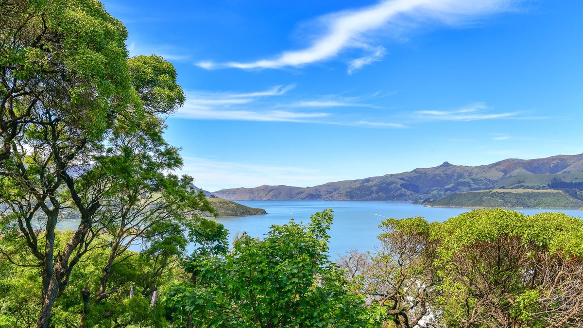Robinsons Bay House | Sun Baked Duvachelle's Harbour Views