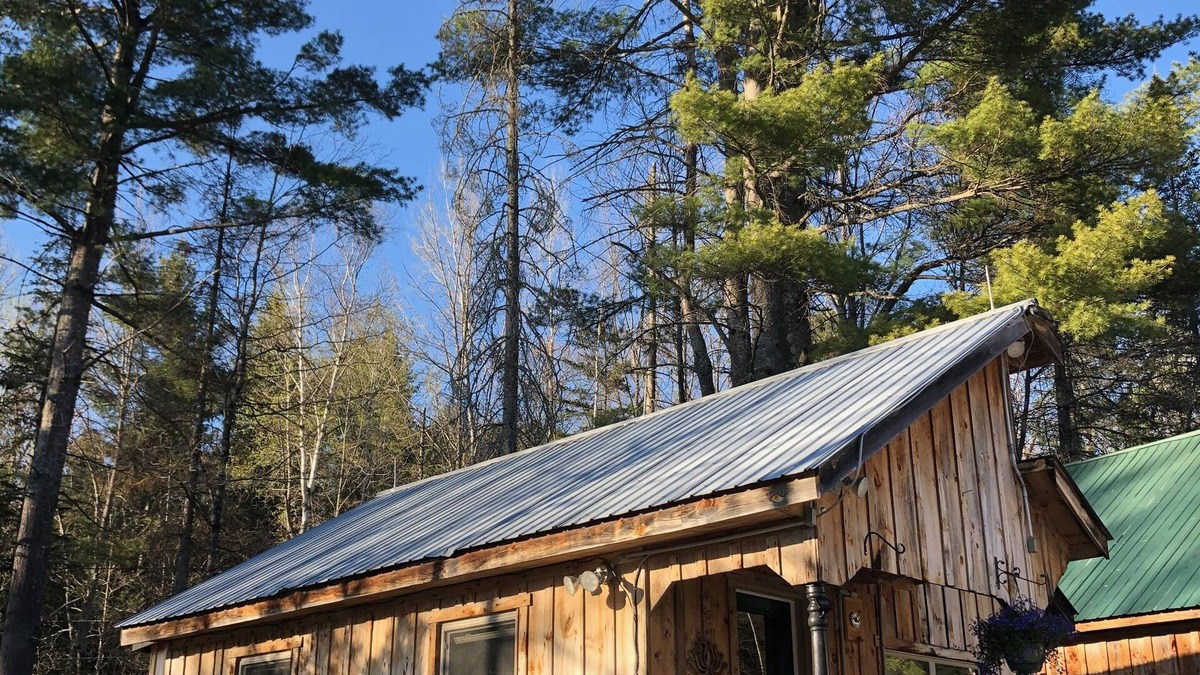 Washington Cottage | Sun drenched cozy cottage on budding 17 acre homestead