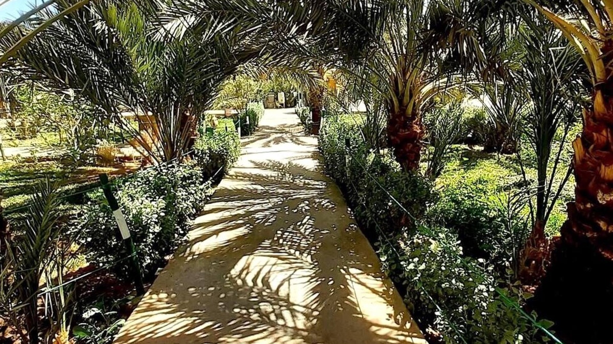 Aarab Sebbah Ziz Cabin | Sun Palmeraie