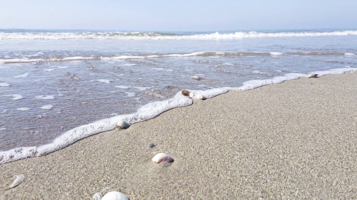 Berck-sur-Mer Apartment | SUN RAY TO SHARE