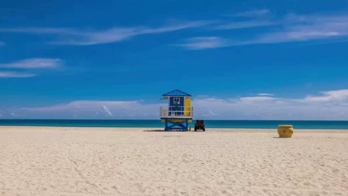 Hollywood South Central Beach Apartment | Sun, Sand & Comfort: 1/1 Apartment by the Beach