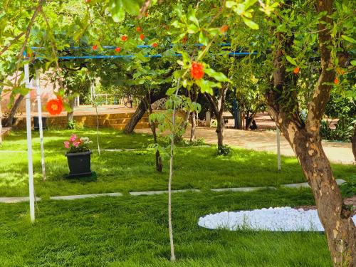 Urkmez Apartment | Suna Pansiyon
