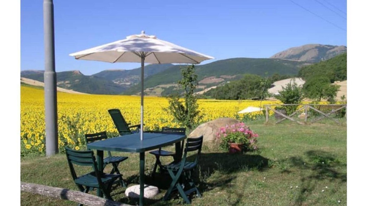 Camerino Apartment | Sunflowers - Green apartment first P