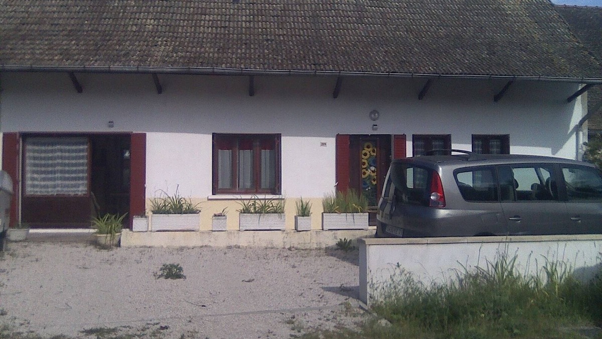 Ormes House | Sunflowers in burgundy