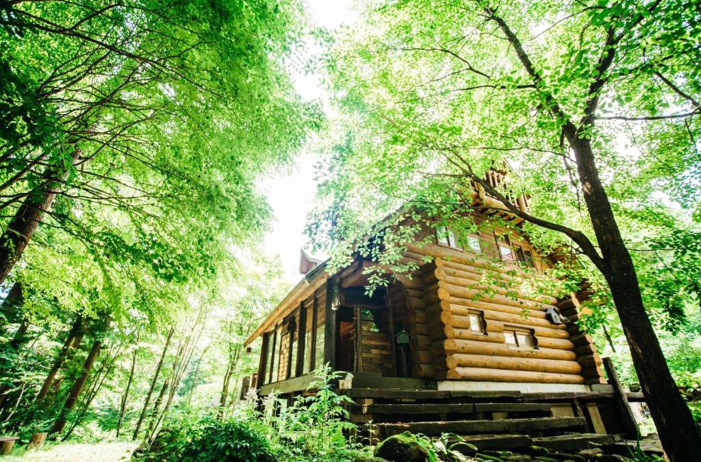 Otari-mura Ski Chalet | SUNNSNOW Loghouse