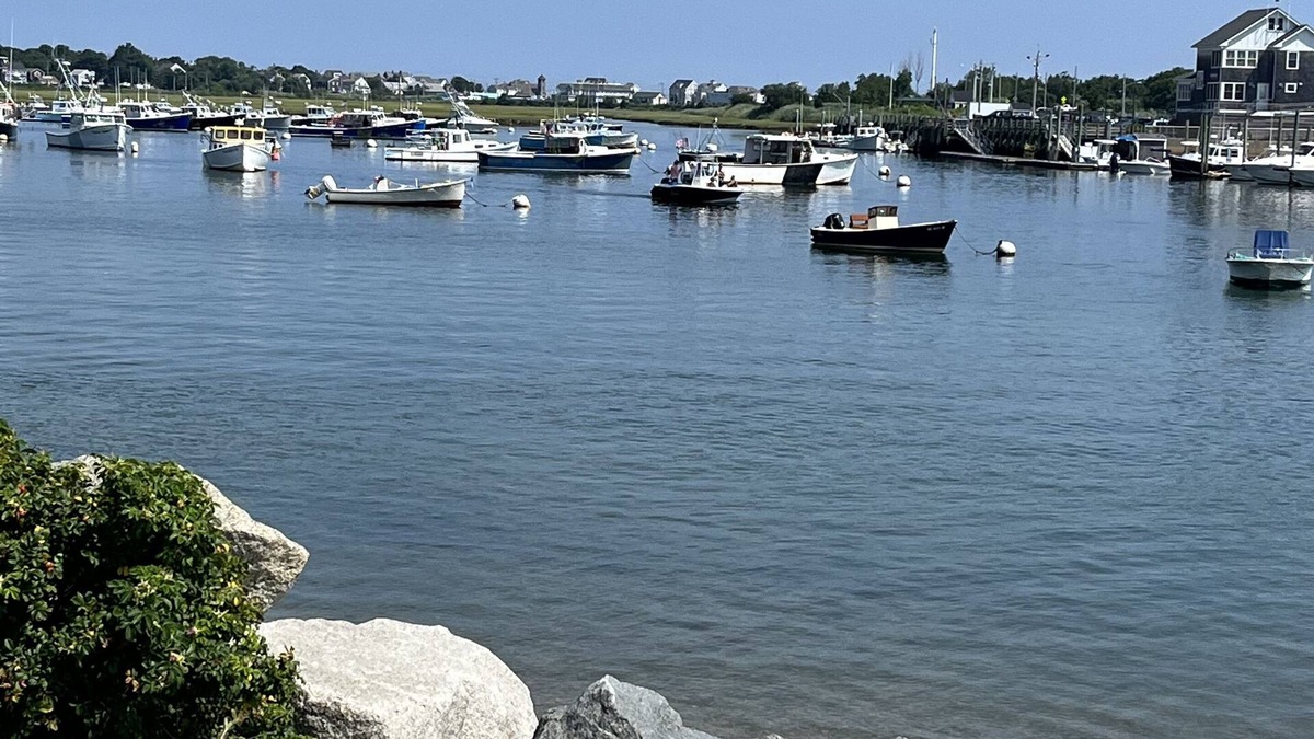 Green Harbor-Cedar Crest Cottage | Sunny 2-bedroom beach cottage, walk to beach!