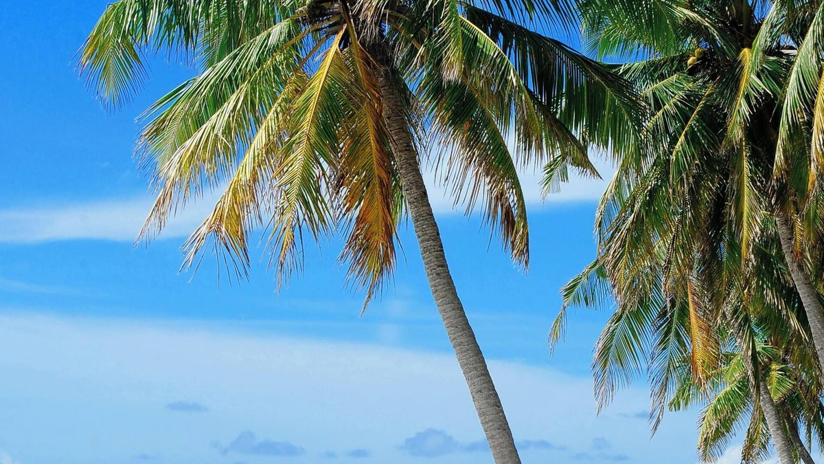 Sebastian Highlands House | Sunny Days Retreat, . 5 miles to beach, Fishing, 90min to Disney. Pet friendly