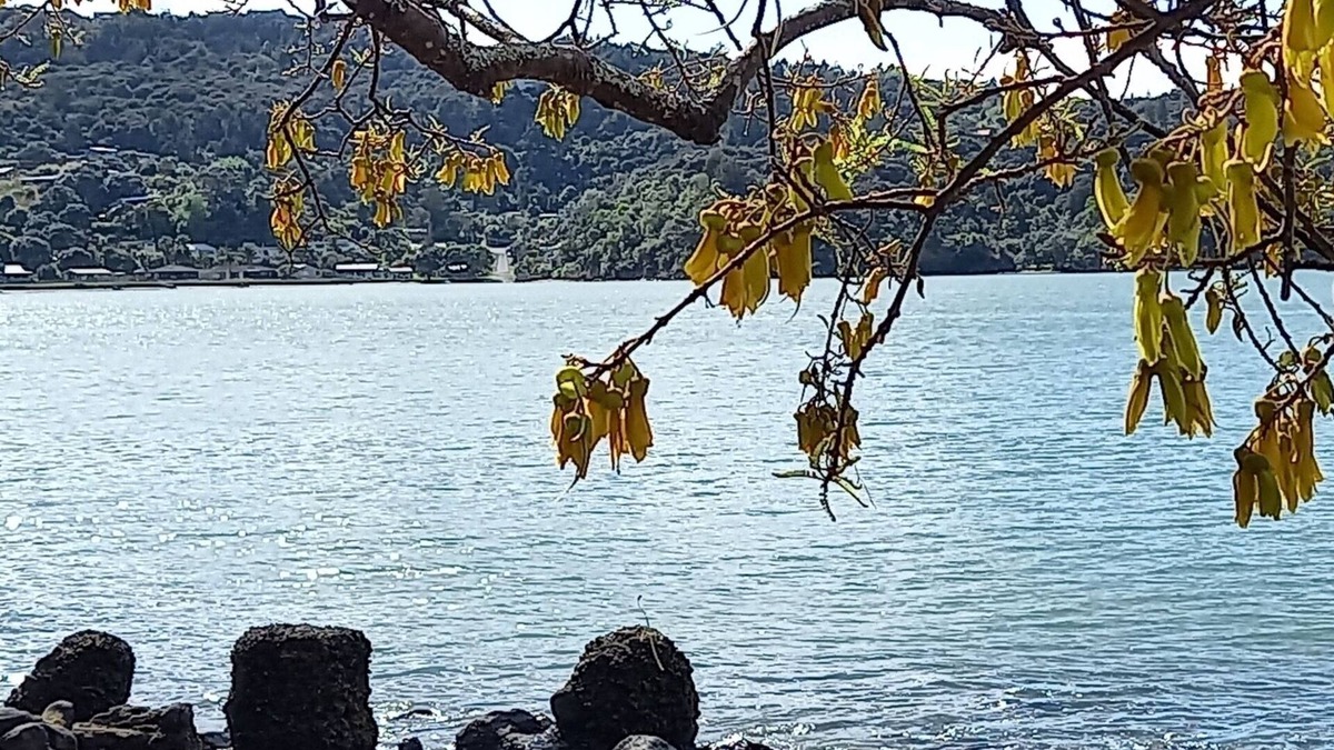 Huia House | Sunny house in sheltered bay, great views, classic kiwi ambience