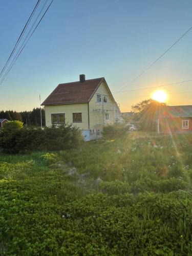 Bud House | Sunny House