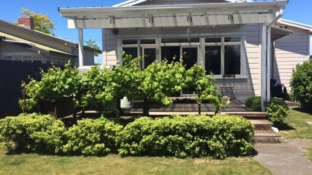 Napier House | Sunny living close to McLean Park/Napier CBD