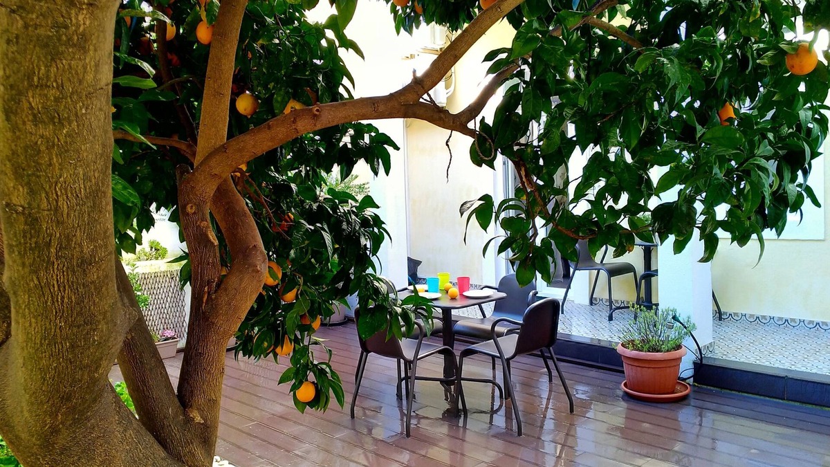 Penha de Franca Apartment | Sunny orange garden apartment in central Lisbon