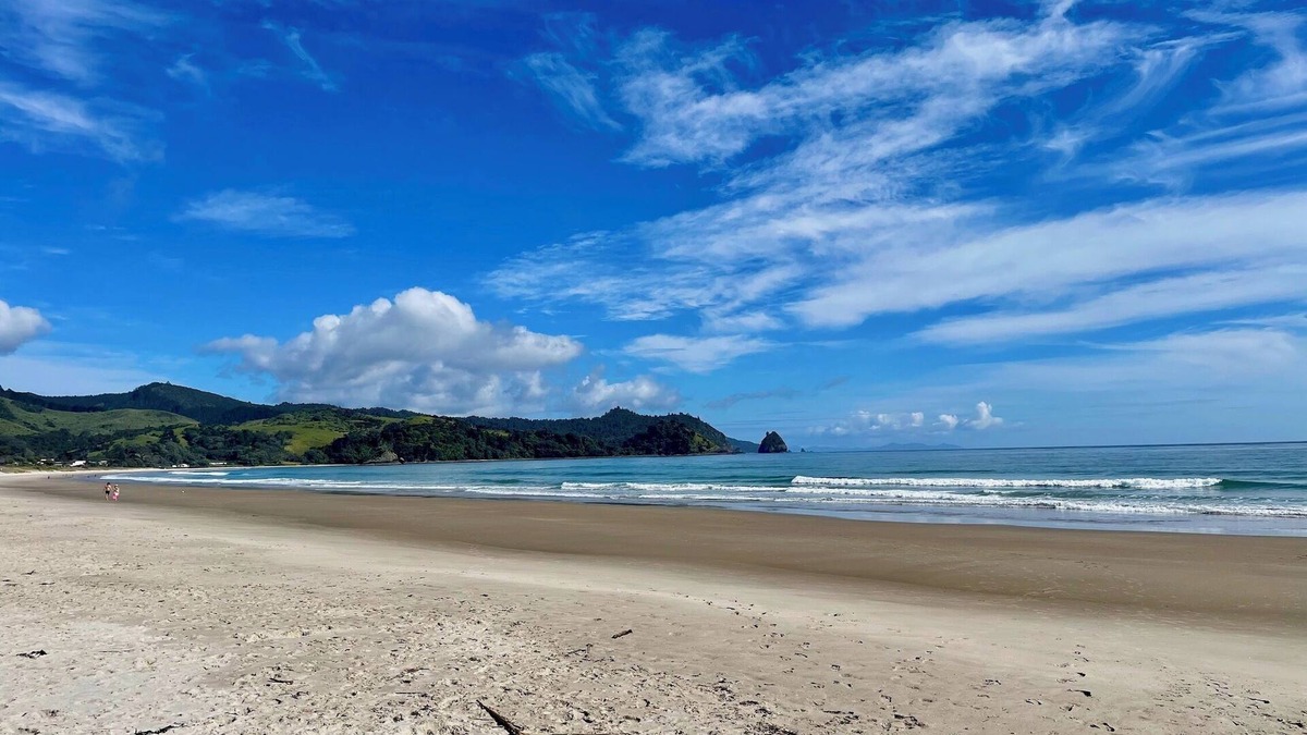 Whangapoua Cottage | Sunny relaxed beach sleep out - pet friendly