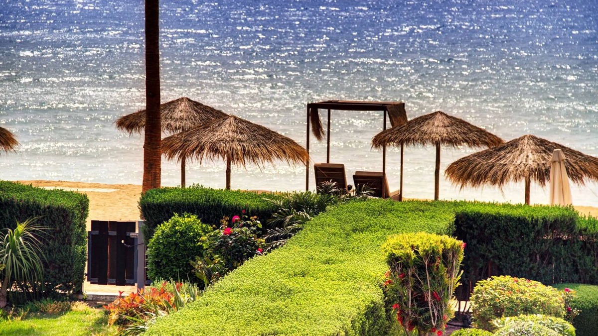 Mazotos Villa | Sunny Serenity by the Sea: A Mediterranean Escape with Private Beachfront Villas