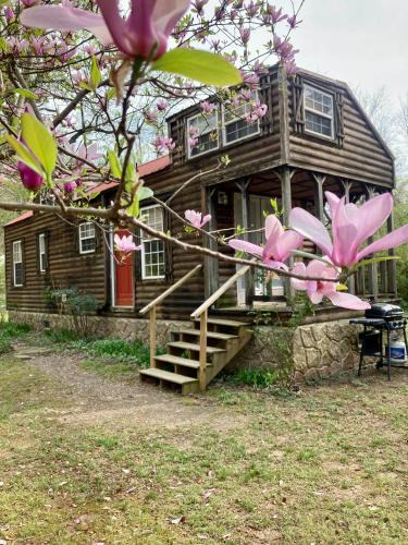 Mena House | Sunnybrook Cabin, wooded, private with stream, near ATV trails