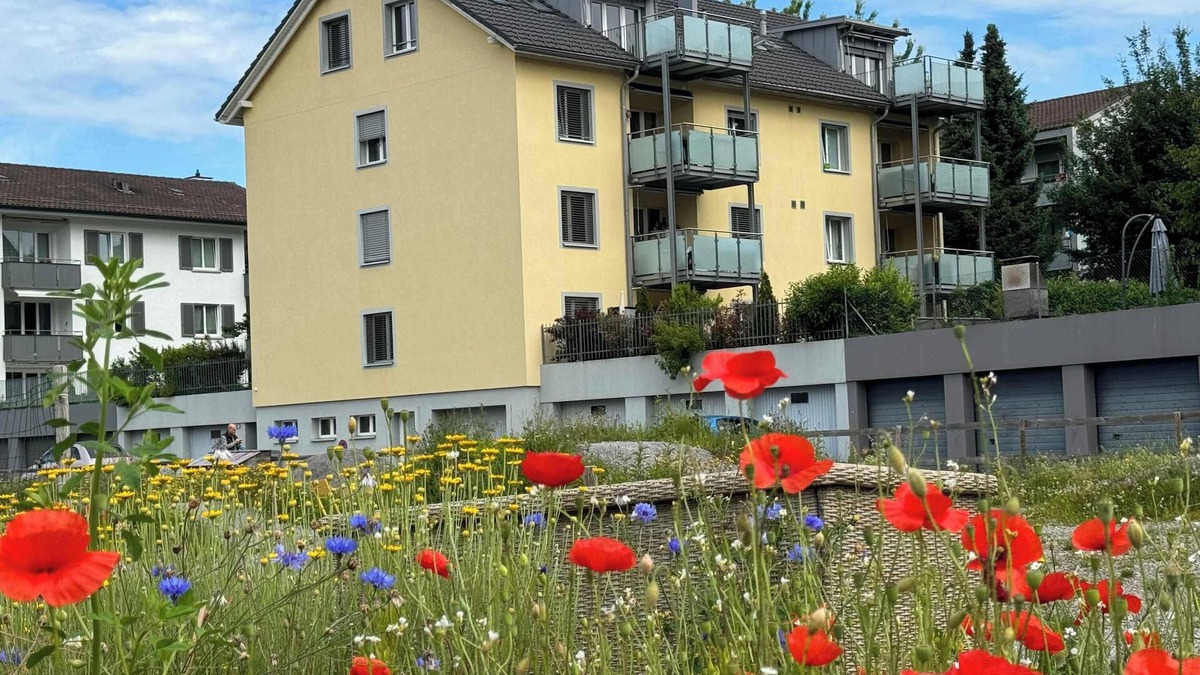 Wallisellen Apartment | Sunrise Terrace 2.5 Room Apartment (FR-31)