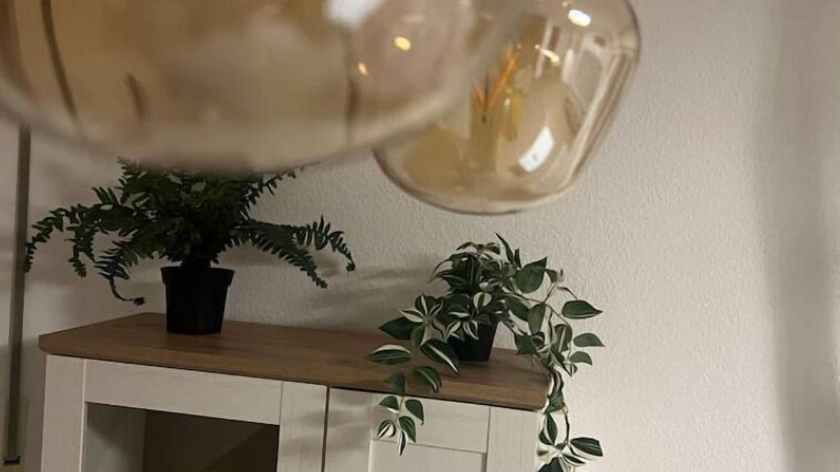 Urbar Apartment | Sunset Apartment mit Rheinblick