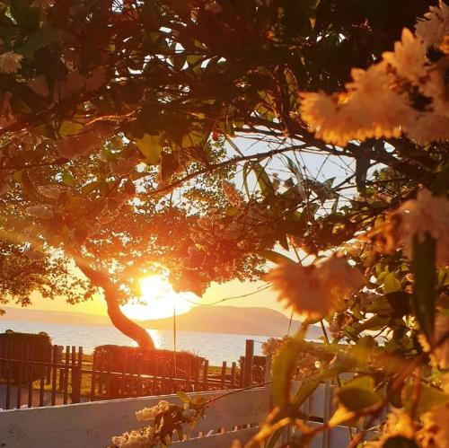 Fonyodliget House | Sunset Beach House