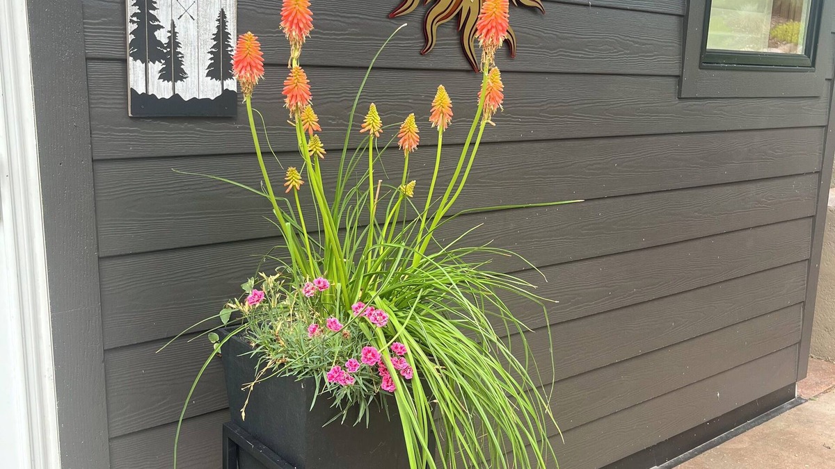 Lake James House | Sunset Cottage on Jimmerson Lake