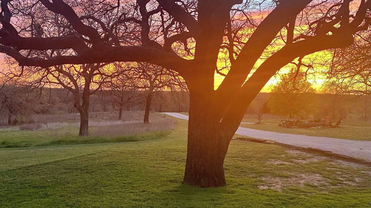 Nocona Other | Sunset Oaks Retreat | Events, Farm Animals & Views