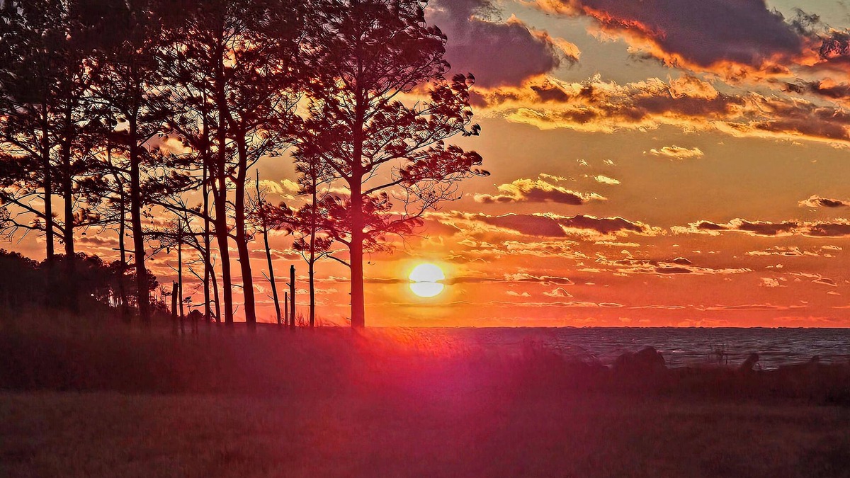 Belle Haven Other | SUNSET POINT FARM - Gracious Country Farm on the Chesapeake Bay - 75 Acres