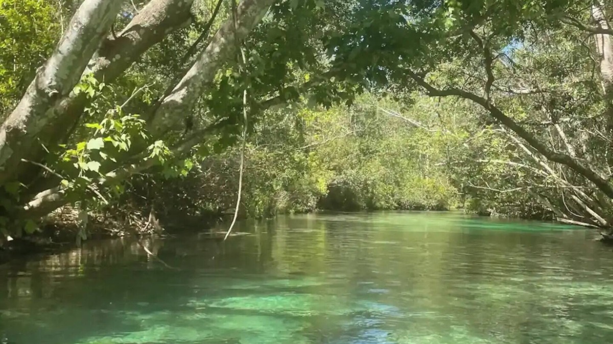 Weeki Wachee Gardens House | Sunset Shanty in Weeki Wachee Fl with full RV hookup.