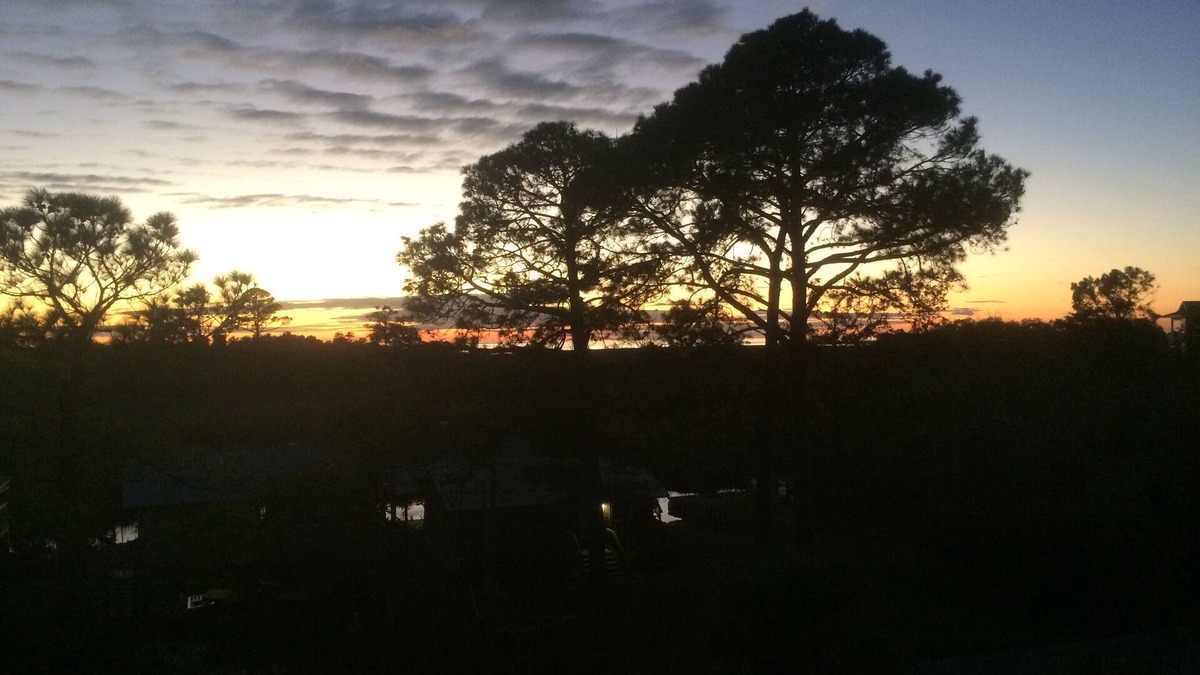 Suwannee Condo | Sunsets, Canal Front, FISH, FISH, FISH! Suwannee Cove - Unit 207