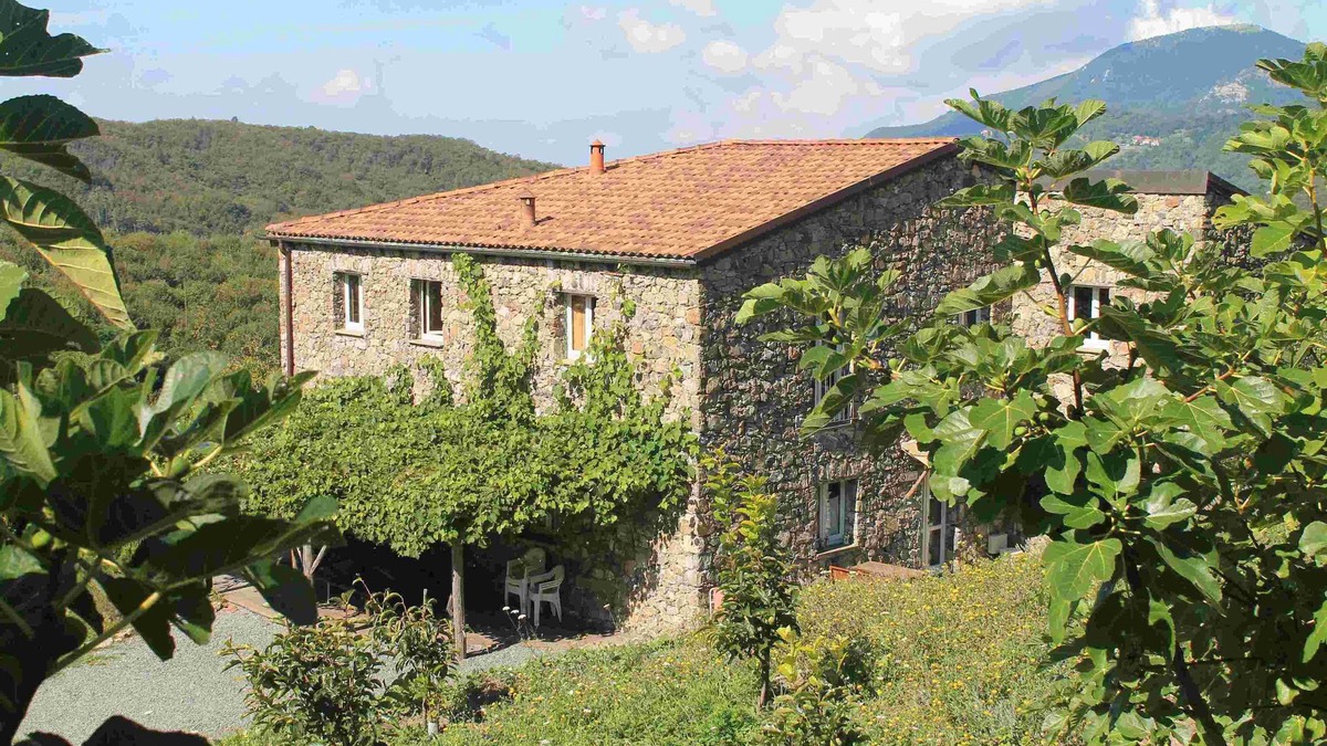 Maissana Apartment | "Sunshine" apartment in farmhouse with large kitchen, two rooms, one bathroom