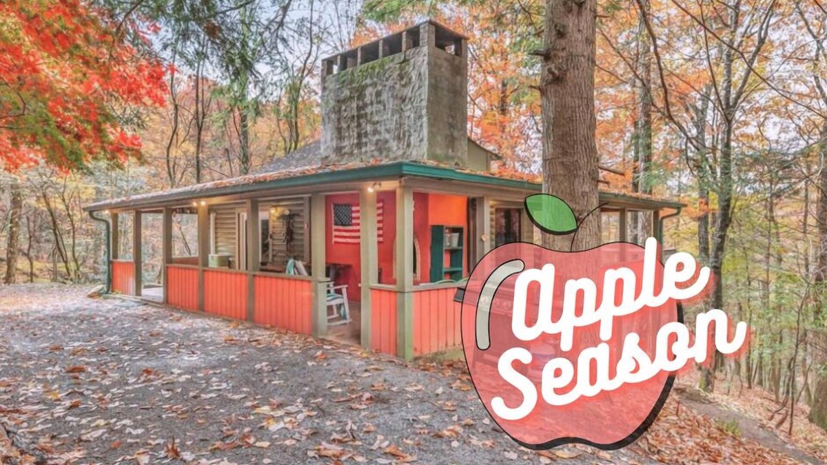 Ellijay Cabin | Sunshine Summit - 4 Acres+Creek+Trails