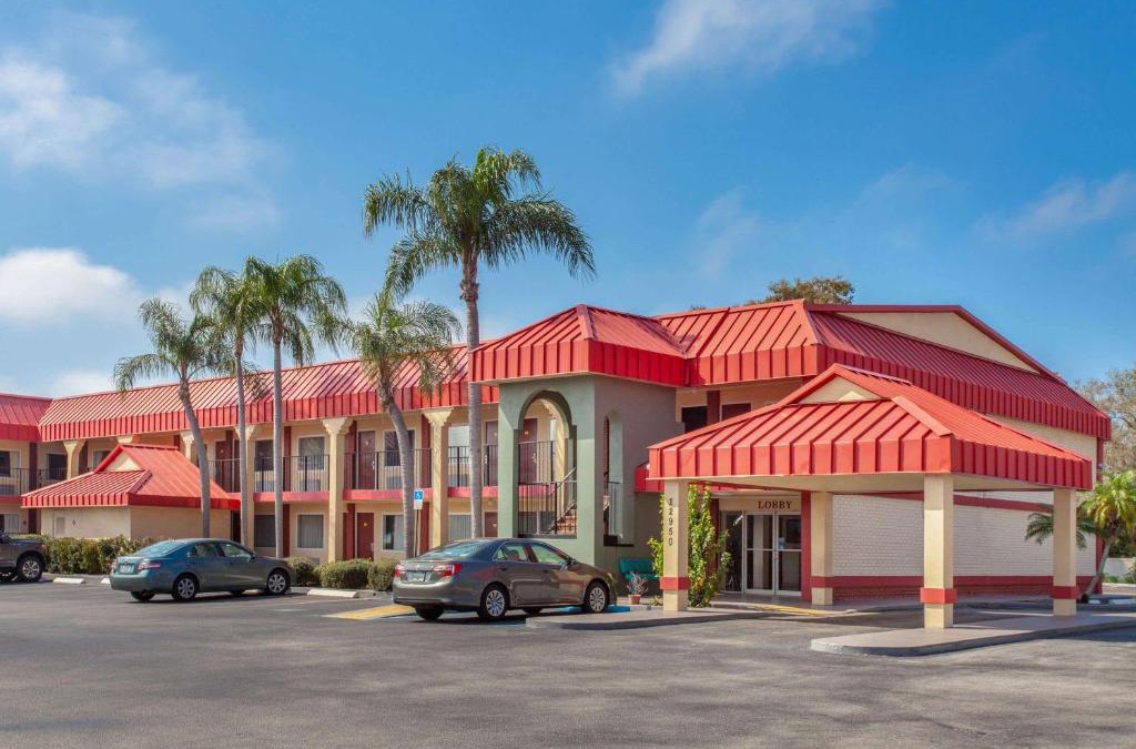 Clearwater Hotel | Super 8 by Wyndham Clearwater/US Hwy 19 N