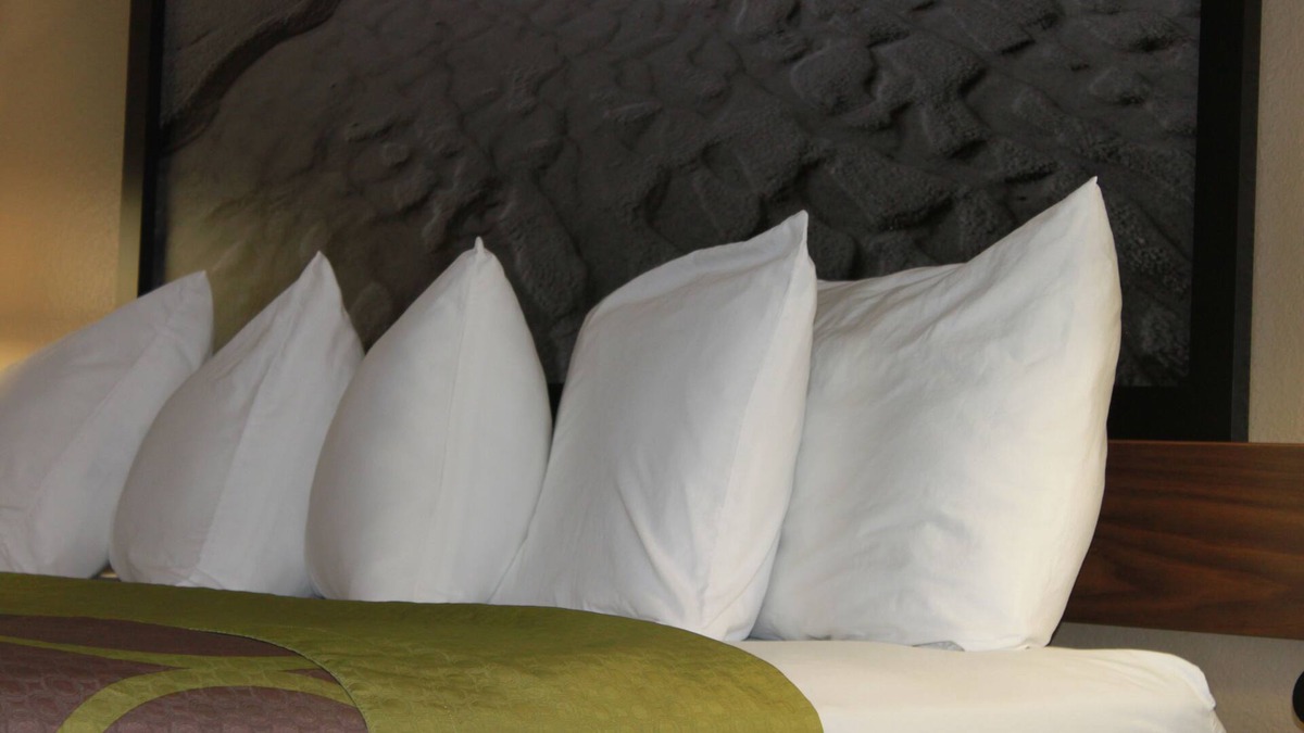 Manistee Hotel | Super 8 by Wyndham Manistee