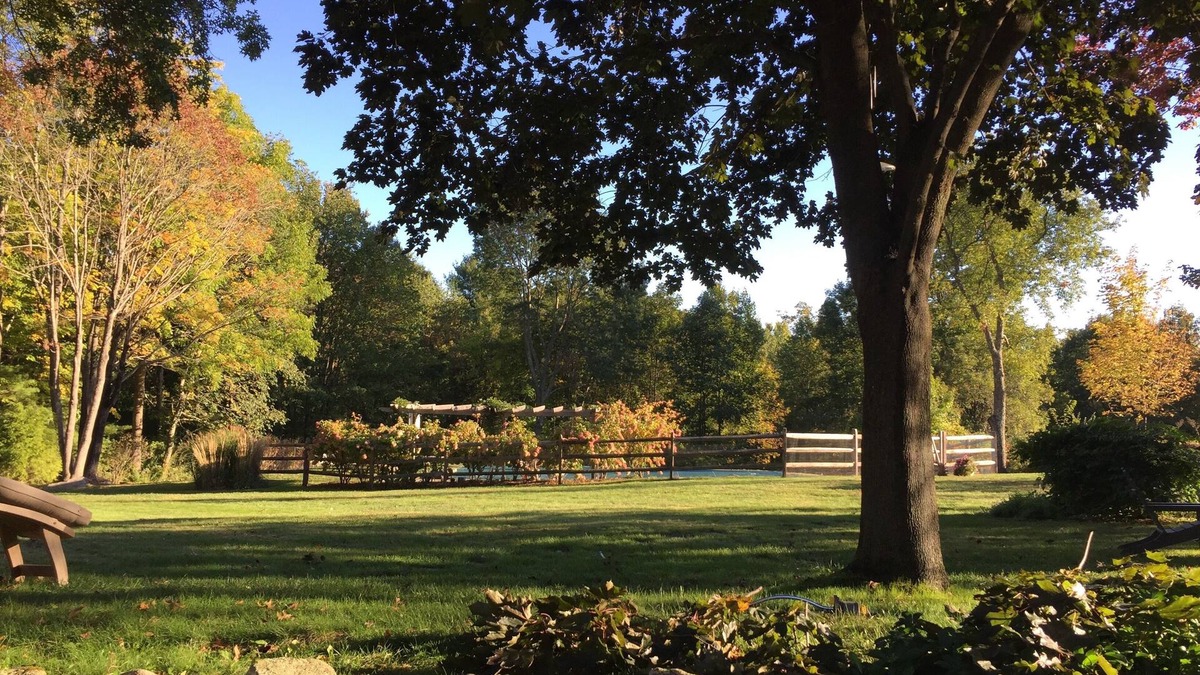 Lakeside House | Super comfy, chic converted barn with saltwater pool on 6 acres.