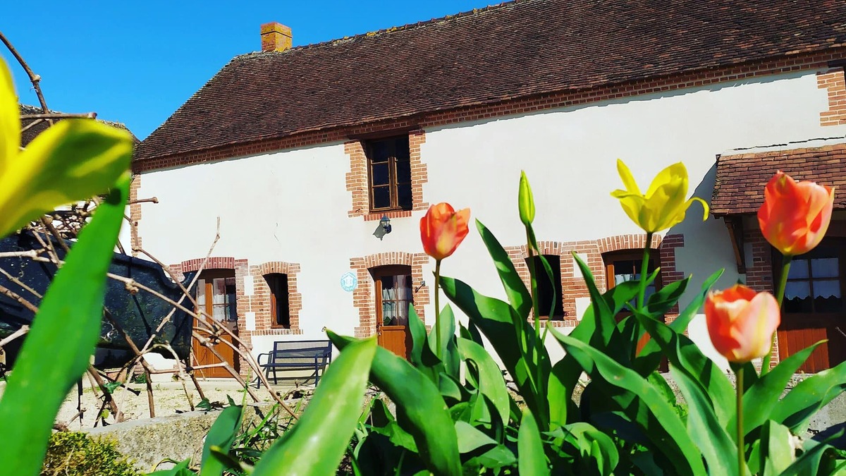 Mennetou-sur-Cher House | Superb longère for 6 people with swimming pool near Beauval, Loire castles