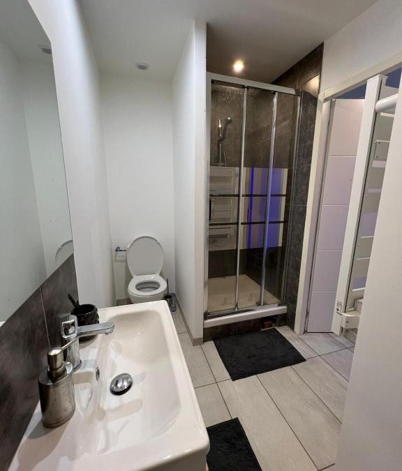 Roanne Apartment | Superbe appartement