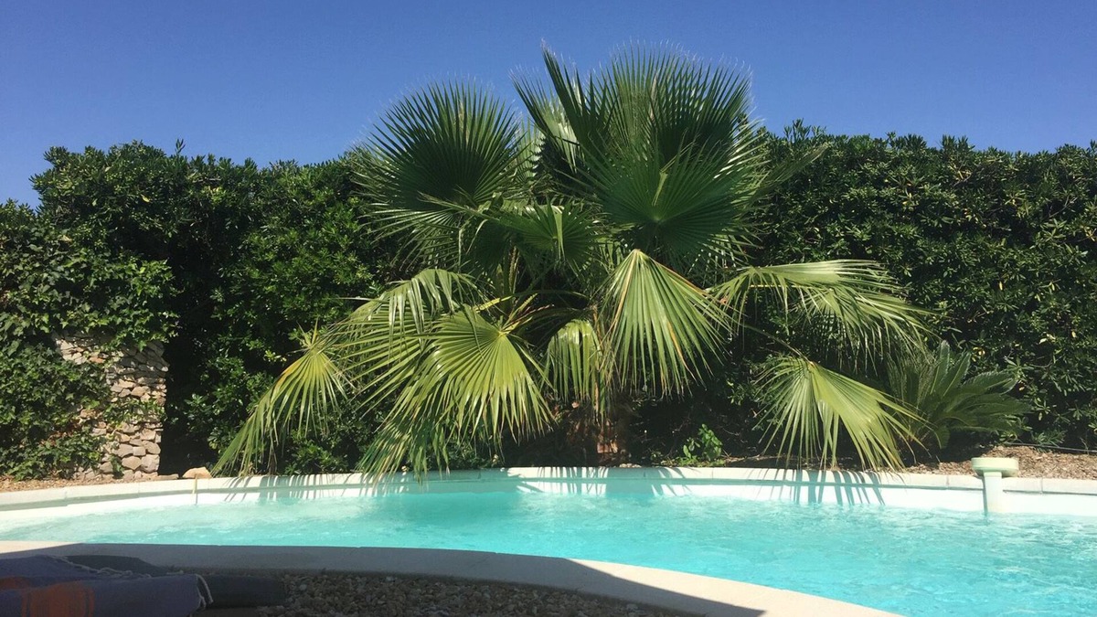 Cassis Villa | Superbe rez de Villa Avec Piscine Privée Entre Plage du Bestouan et Calanques