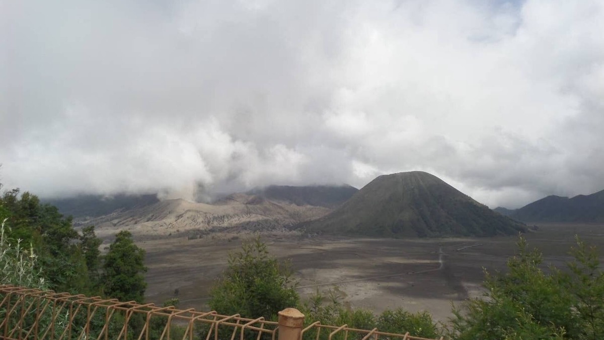 Tengger Caldera Bed & Breakfast | Superior Cemara Indah at Cemara Lawang, Bromo